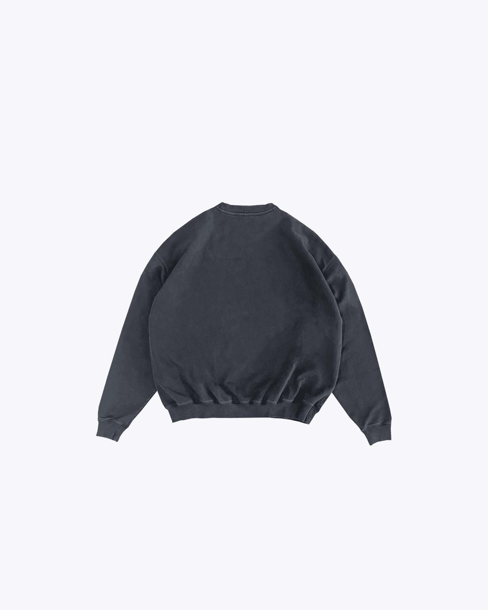 Sport Crewneck – Obrázek produktu – další pohled